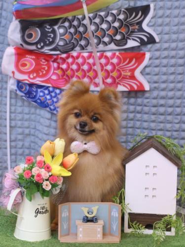 20230516ルルちゃん